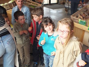 2 pas des champs 8 octobre 2015 (7)