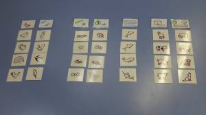 les familles de mots