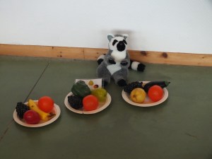 safari 28 septembre 2015 (64)